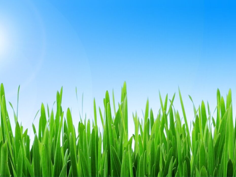 Grüne Wiese unter blauem Himmel als Symbol für Raumtemperatur und sommerlichen Wärmeschutz